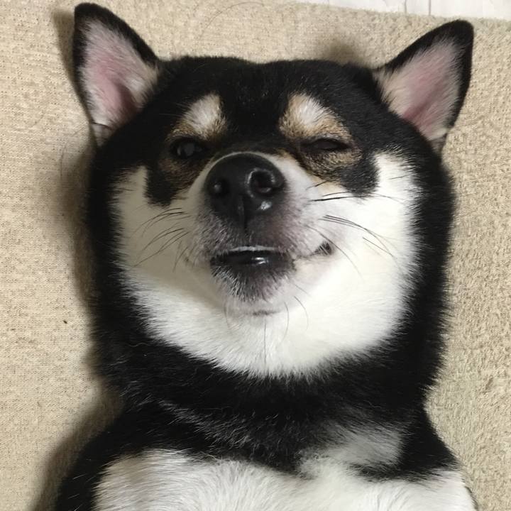 4aeecfc4 eecd 4241 ae34 c152b1c54c95