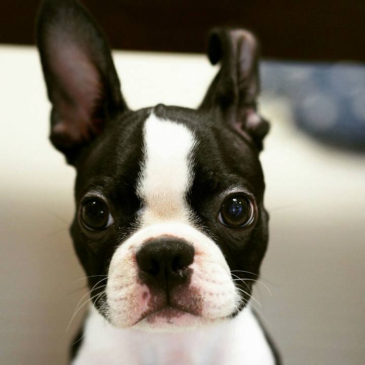 4aeef653 c0a3 44a5 9dd5 c204de055cdb