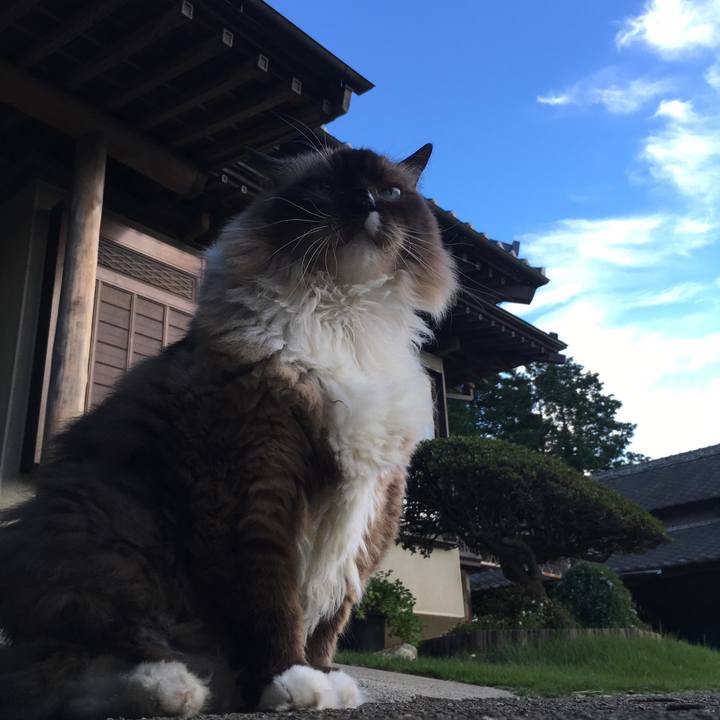 4aef9eed c600 4e16 a077 fd95d4866934