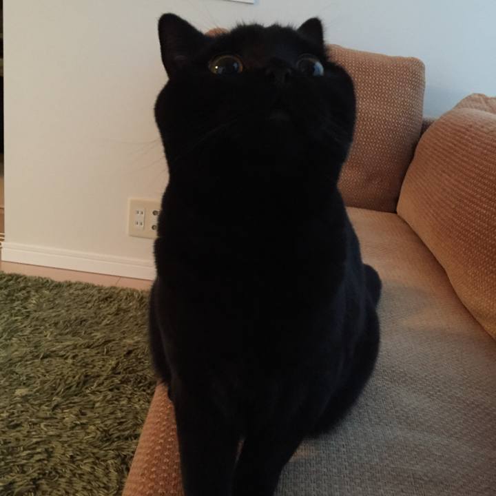 4aefa2f9 118f 43e6 afac f5773395588a