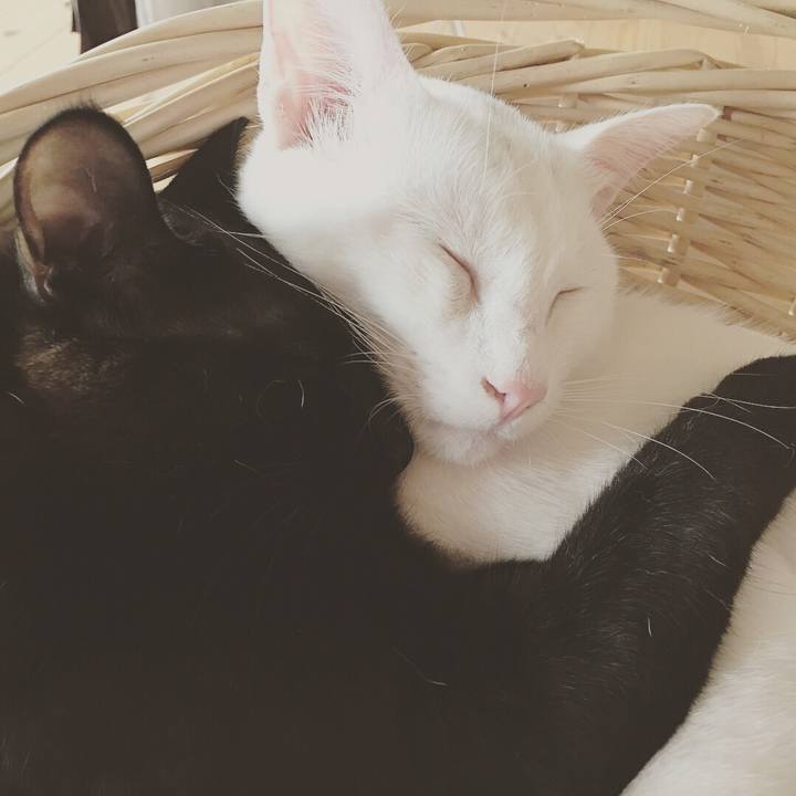 4aefd4f1 5078 4b6e b8f6 bc220a5b0fba