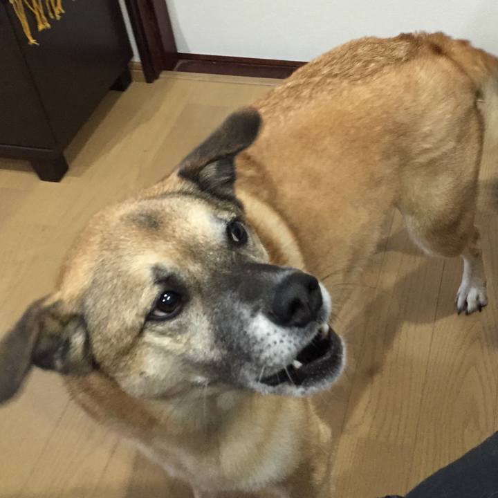 4af00759 a6d4 4c28 b3a6 5aba44df4ede