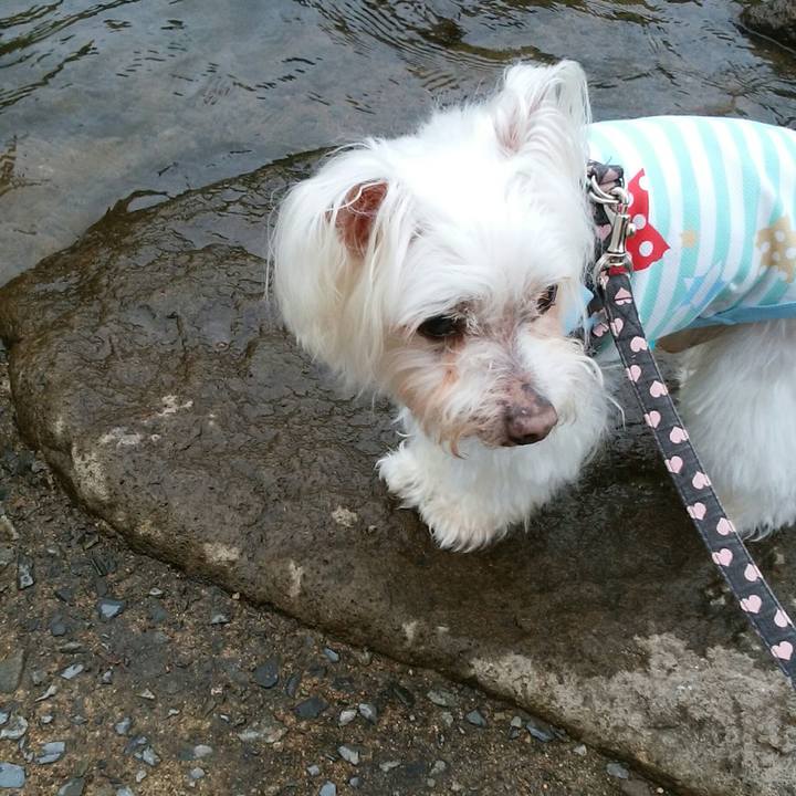 4af05b3b d940 430c a0a0 3db68a5223b9