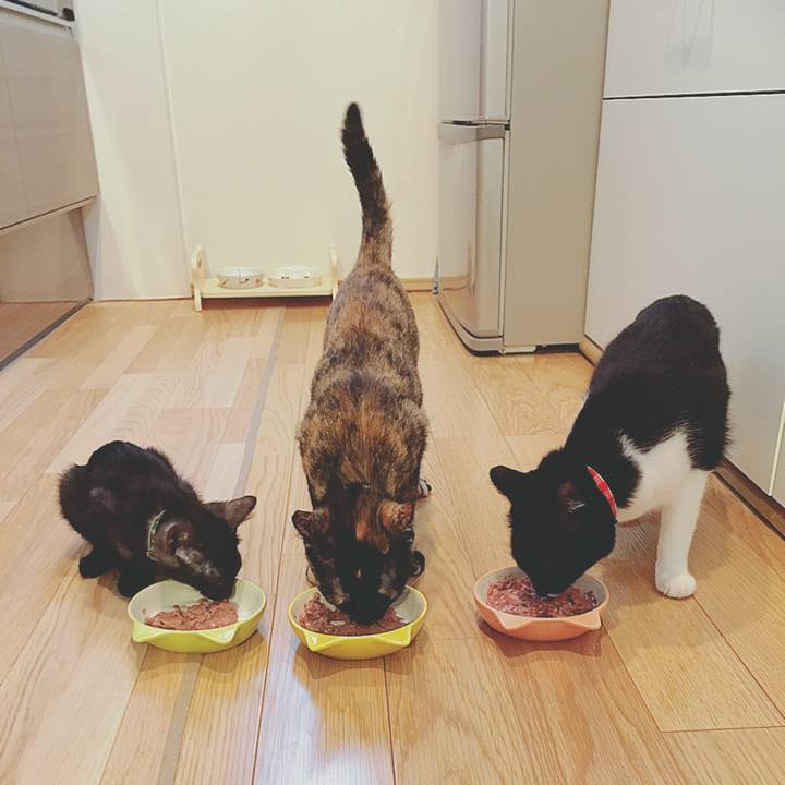 4af09ede a21b 4ee1 ad07 4c6f56a08f32