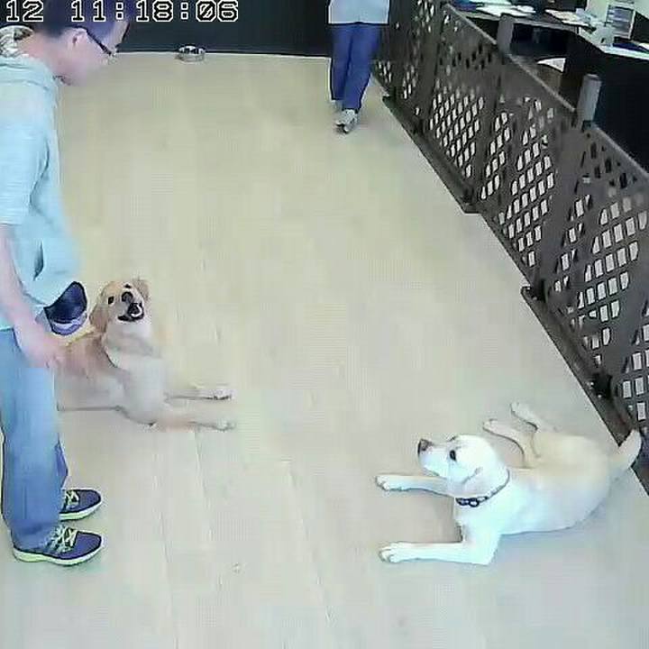 4af0f63b 2b3f 4769 9b41 5aa817ceb66c