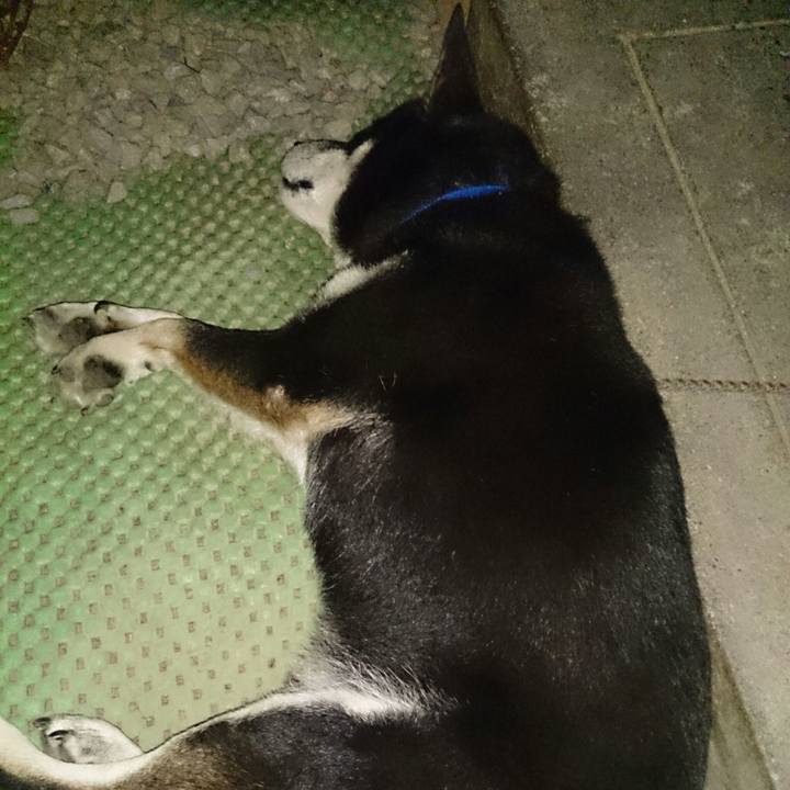 4af16197 93d6 42e3 9ea6 a29ab08bd77c