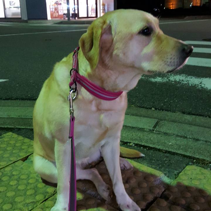 4af25e7f f4b7 400a b930 f4836f8a7b33