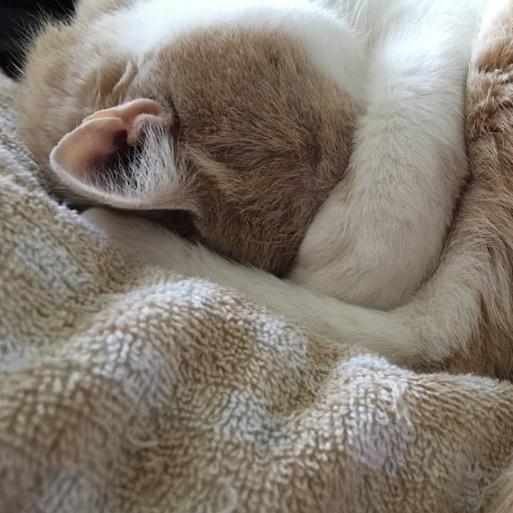 4af2edbc b07d 4aa8 a125 ebcaab3a0108