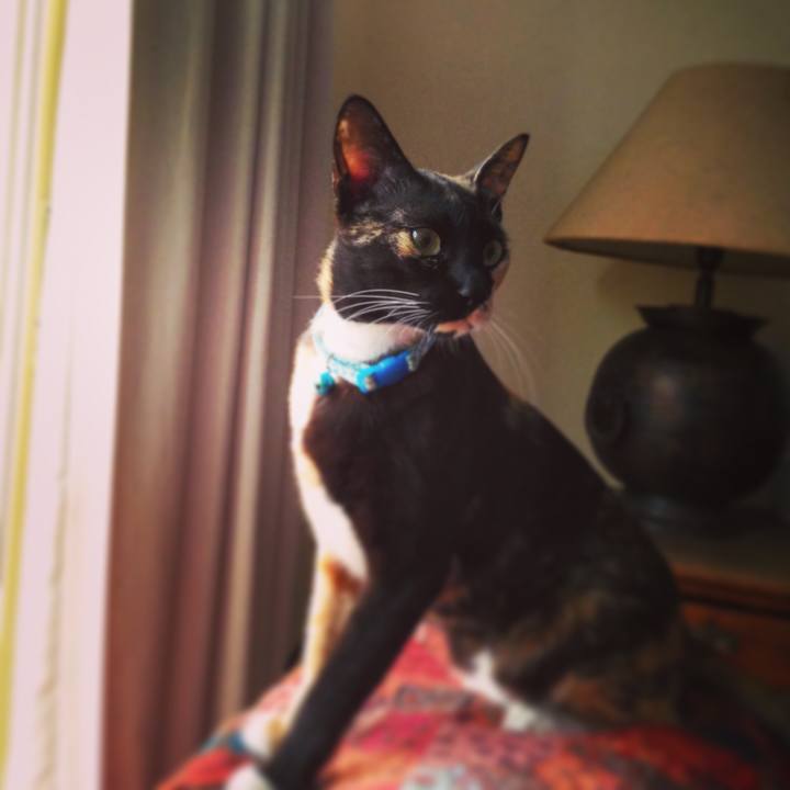 4af333a8 7663 49d9 a4af 47b1d8004bb6