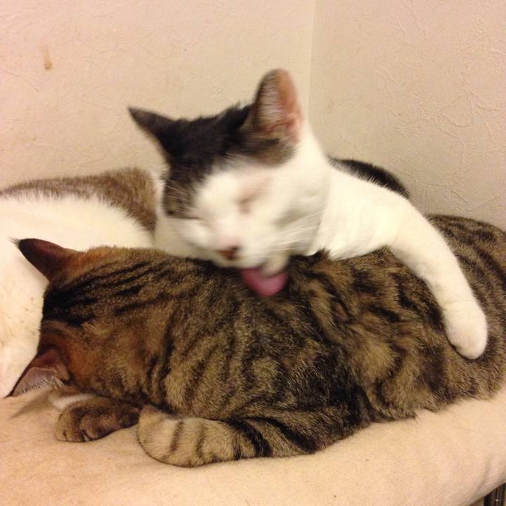 4af464f0 aac6 47cf 85d2 56bde629f032