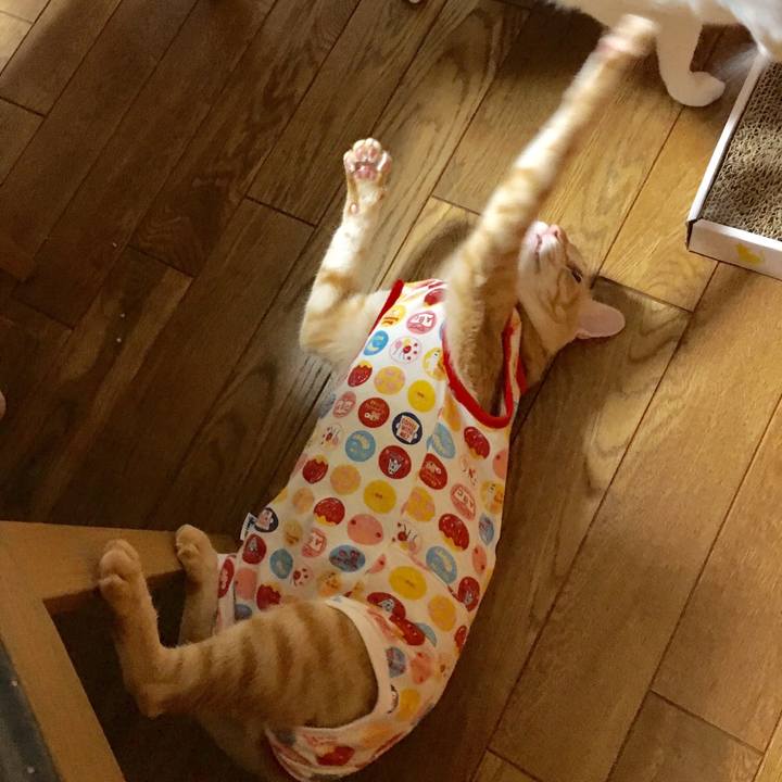 4af46a10 515e 4b7b aa12 44597c194c45