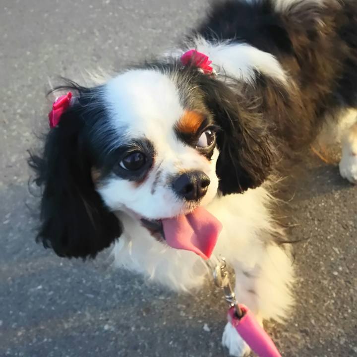 4af5244e bd7c 4146 a0d1 2f4e18a689b1