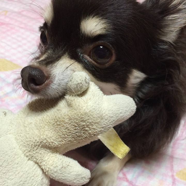 4af56ebc 7ed1 4086 b616 99b92c2a52c7