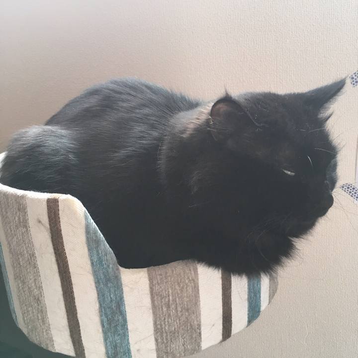 4af6408e 883a 49d3 ae58 d88056e0ac75