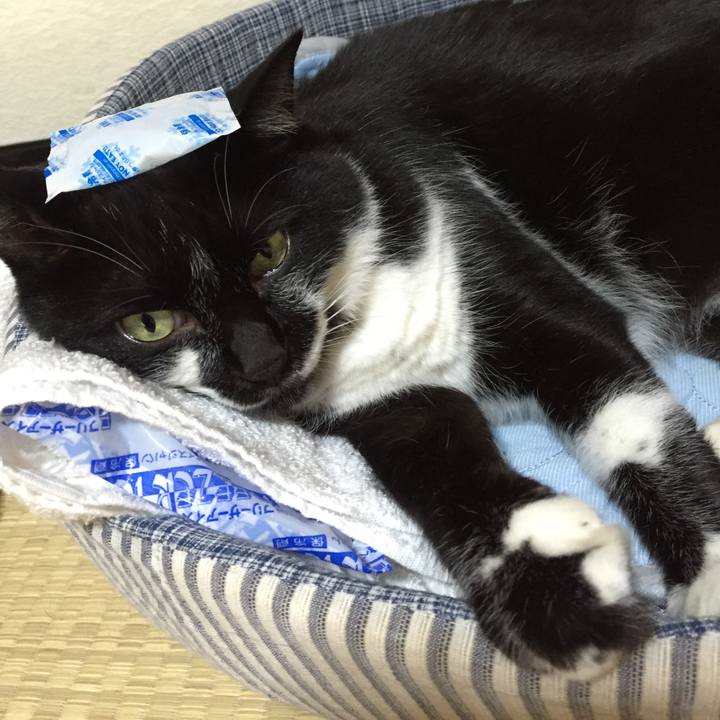 4af69186 f3b4 43c8 8ce7 b42e72b62188