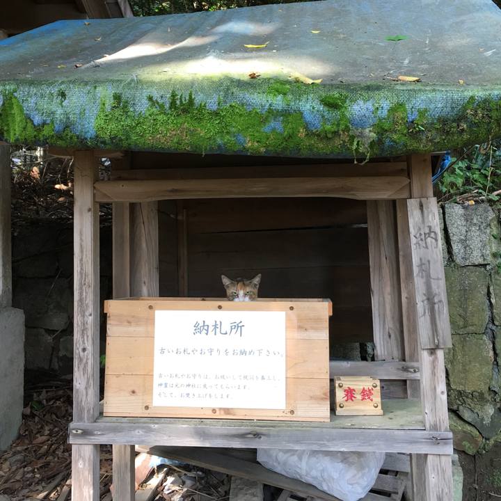 4af6da25 a1d4 4e4f a692 65492ca3aa70