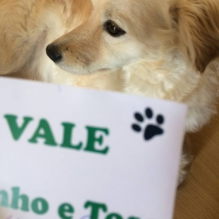 4af730f2 06ec 4f97 a7b7 34297a3a1c56