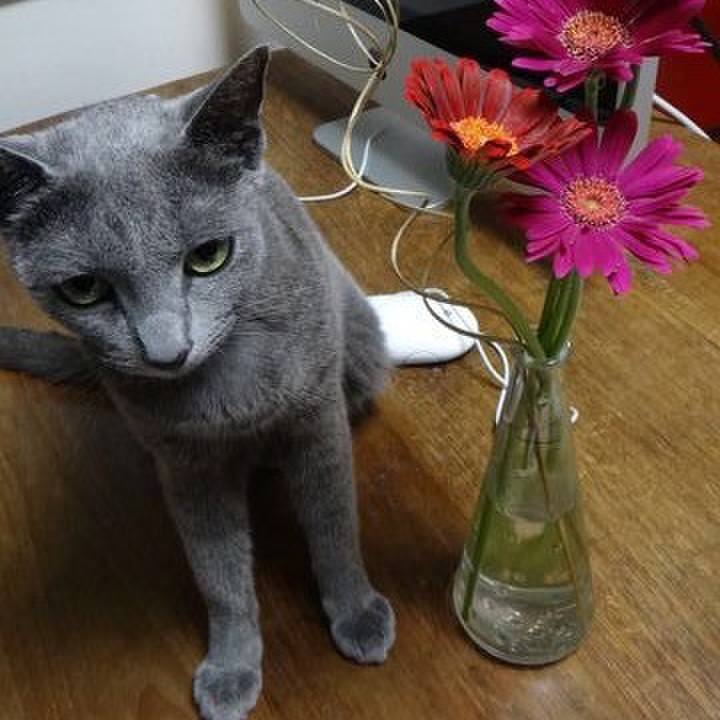 4af751df 658c 4ed6 89ab 2be67e9796e5