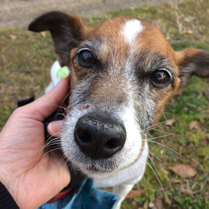 4af7a915 e1c9 433d bdef ee5d761cc80d