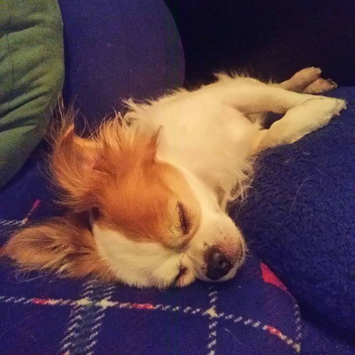 4af7b0bb b4c5 42f9 8980 855a48a84516