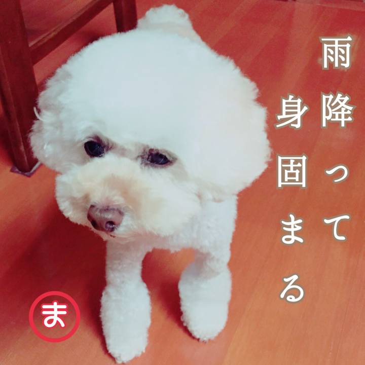 4af7e800 5bc6 47d4 b7ce 596e8ac054f0