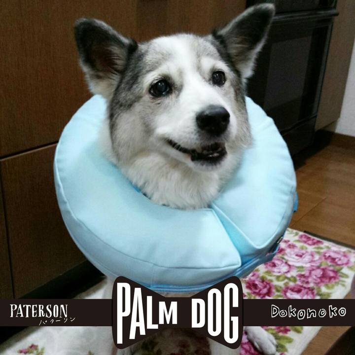 4af86fa5 b4d9 4a30 861b e4776132f13f