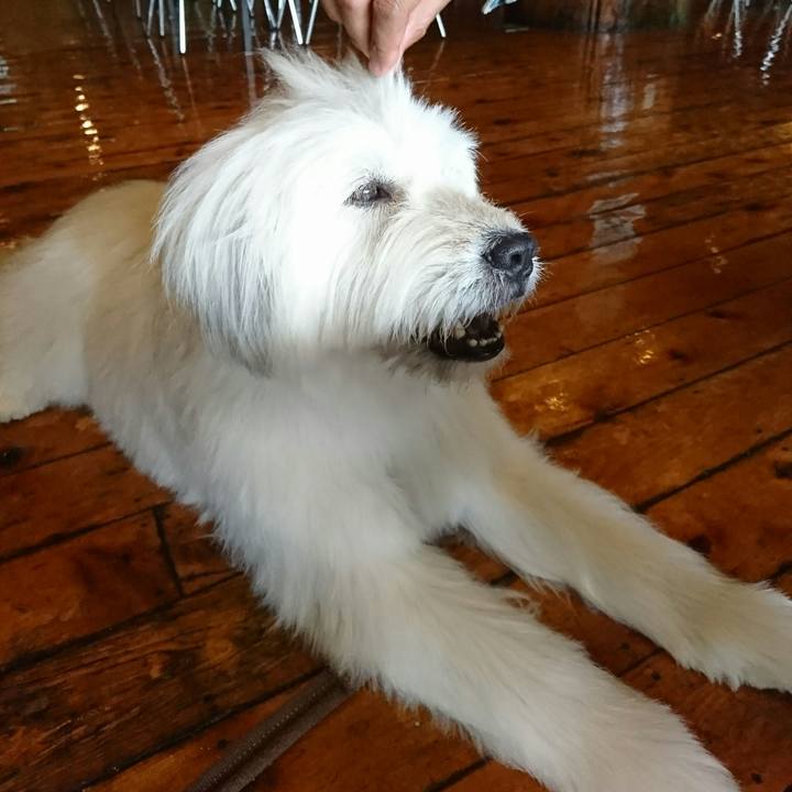 4af88174 049c 4c13 9f3f 88b2ce1470bd