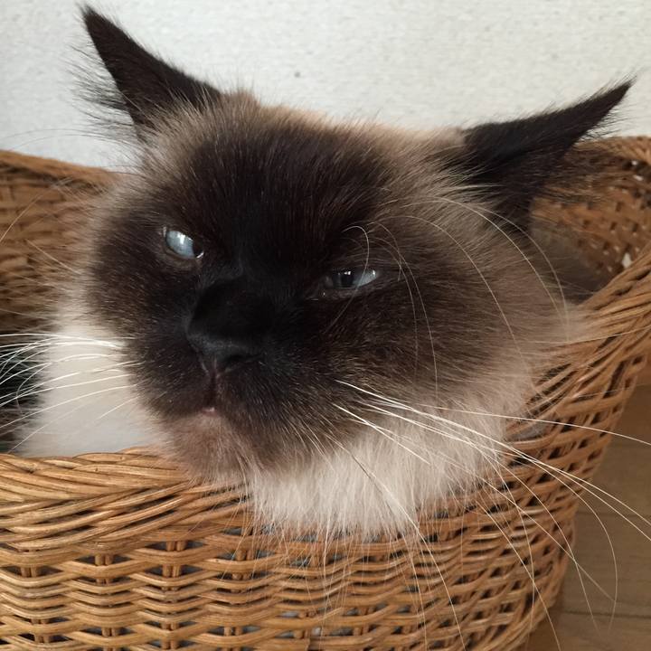 4af8821f 50df 41a6 92f0 486952aaf1b4