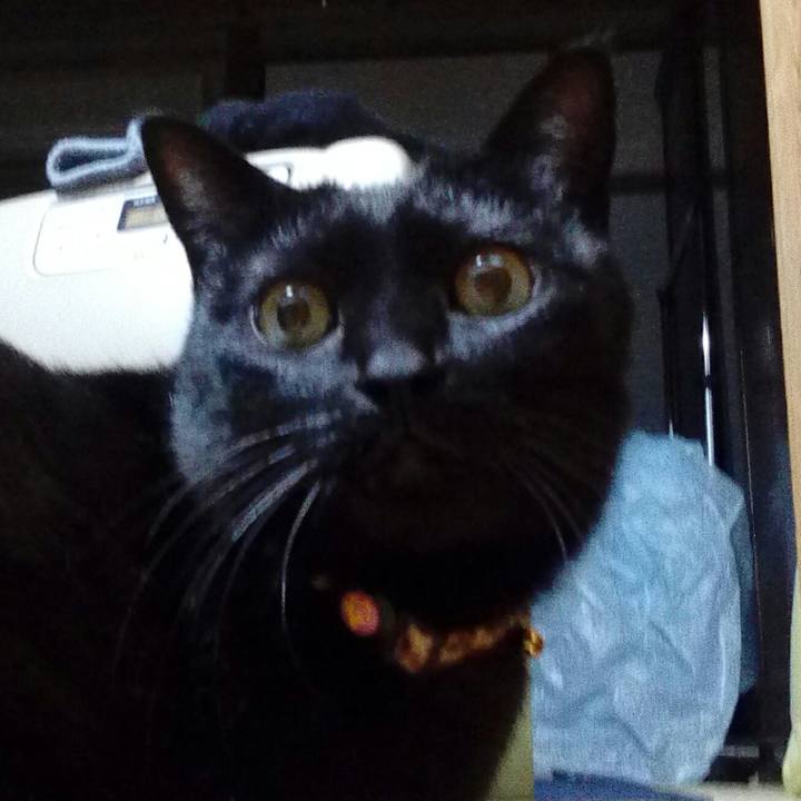 4af8c89e 4ada 4c3a 83e7 ead5082083a3