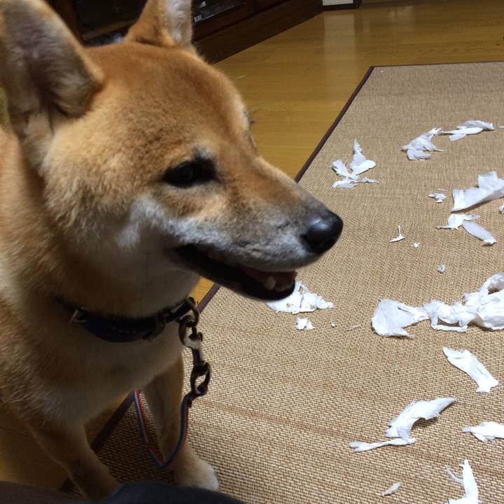 4af92eb0 e2fe 4e31 b9e3 c68bd2aa25c5