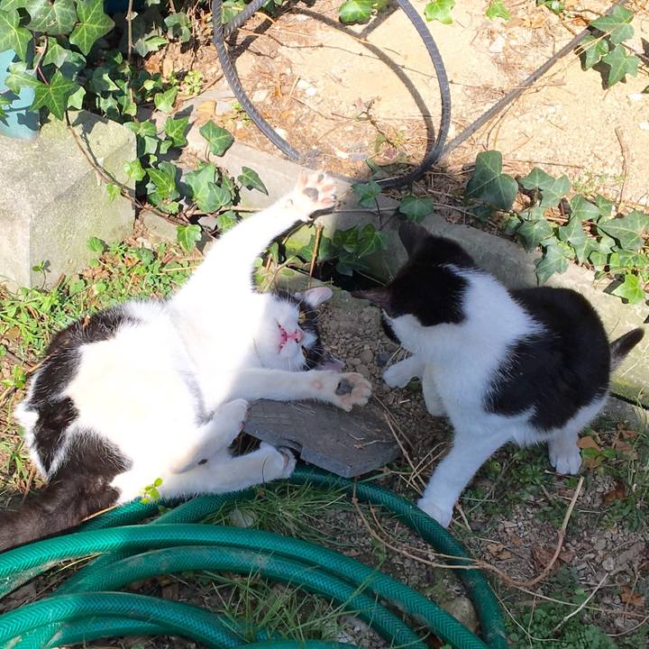 4af95adb 6190 46b9 9178 c11010ad45a1