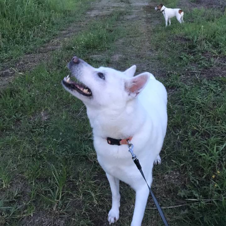 4af9cc51 4628 4743 9749 e28677f01df8