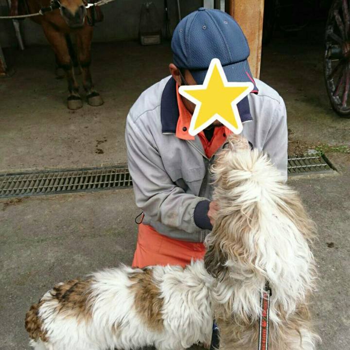 4af9d71b 86fa 4487 9833 3e3e6ff7db02