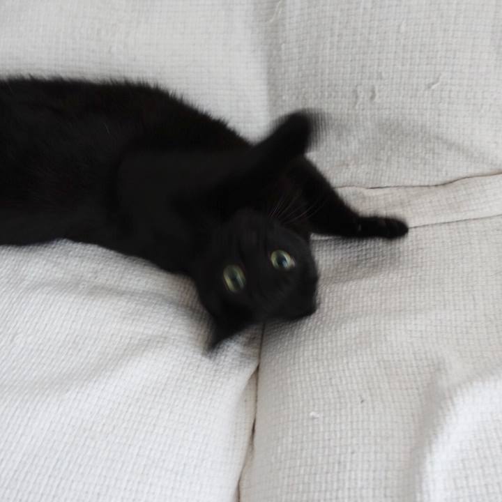 4afa53a9 f108 49bd bdb1 478320c8bd5e