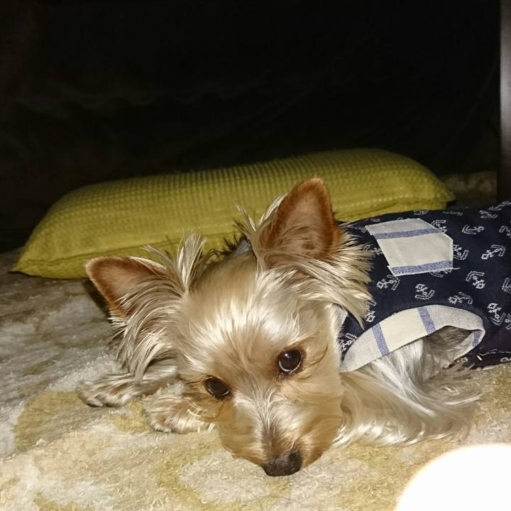 4afb5956 81e1 43f4 9f36 b98f18673ad1