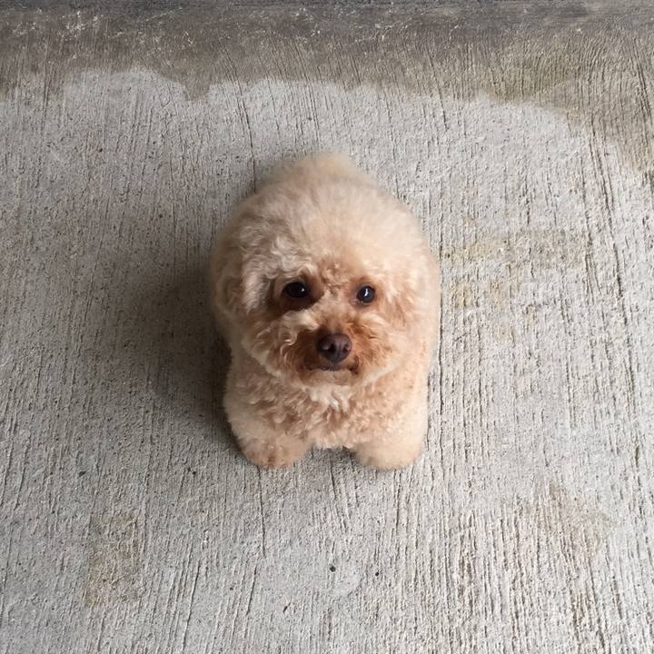 4afba568 741d 4c12 b4a4 fa2bb9c601d6