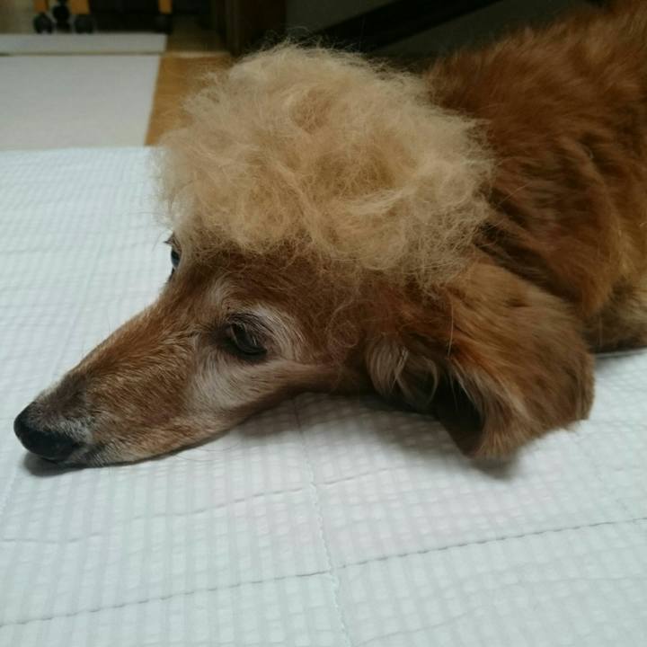 4afc3f60 8ac1 4267 ad07 eeb986a98cf8