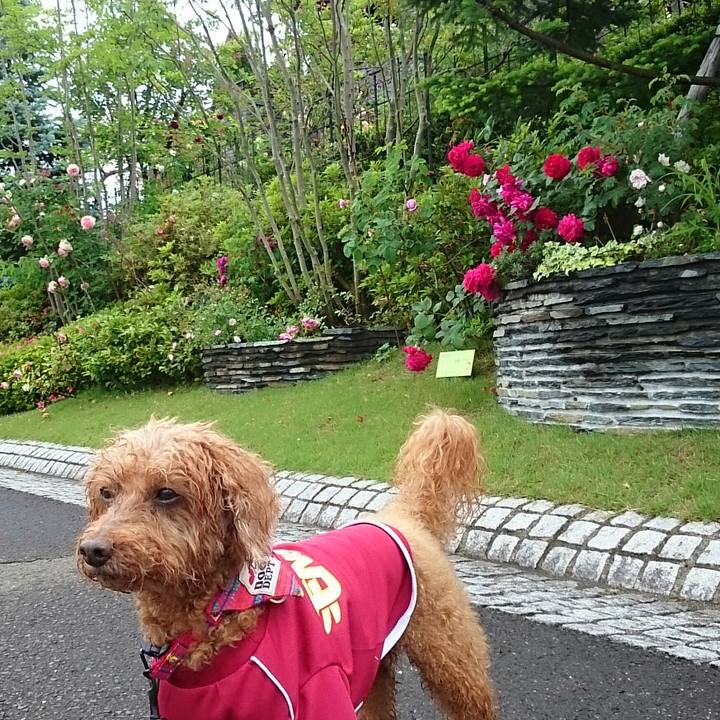 4afc8635 eef9 49fd a986 83e781316c89