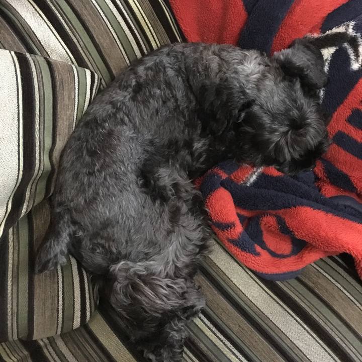 4afd4415 db3d 48ac 91d3 79bf71f1c4b6