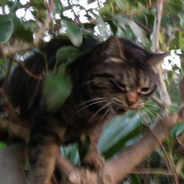 4afdef86 98fe 423a 9317 31481e8eb006