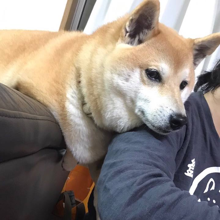 4afe1a10 9753 4079 896e fecaf9c7a1f4