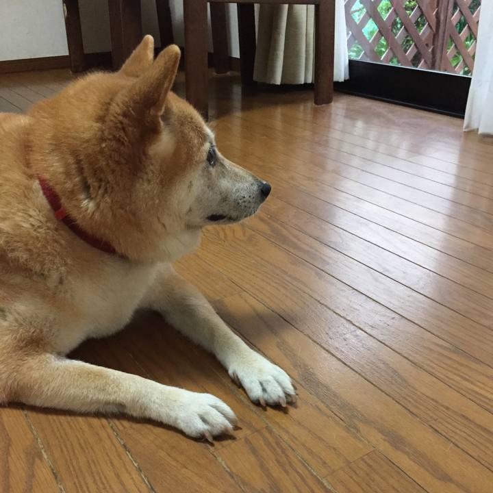 4afe2031 f87d 48c1 9124 0a5062fa4ca9