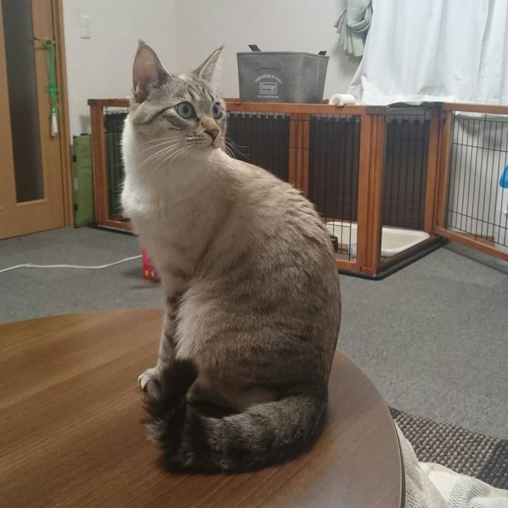 4afe7e47 ec64 4c8e a53f bf68db67d0d8