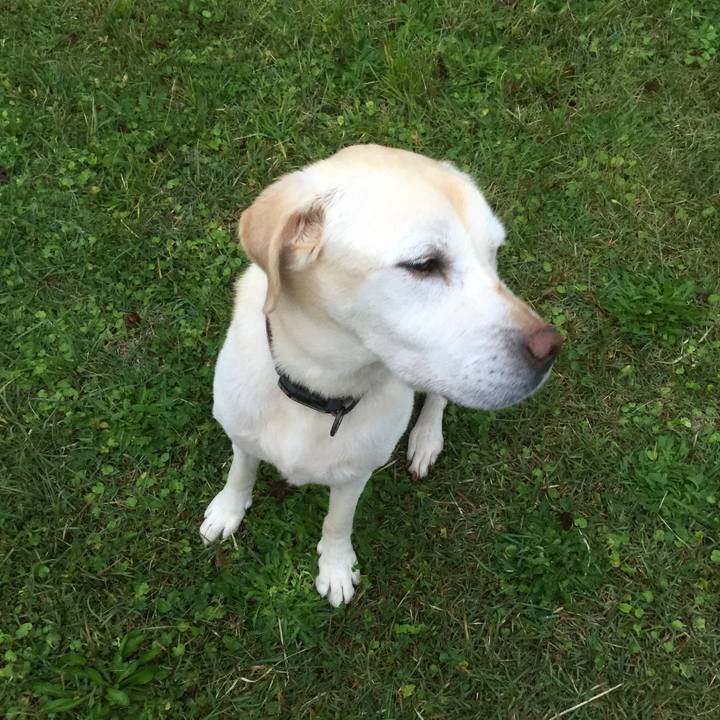 4afe885f 728c 42bb 8fa8 4de948296295