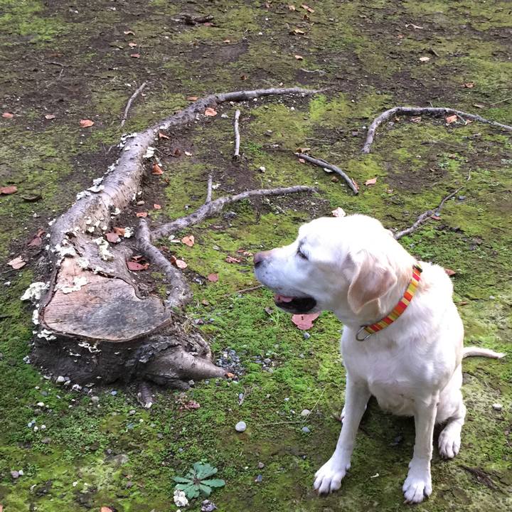 4aff754c 1f2d 424c 94ee a5466c34aaa8