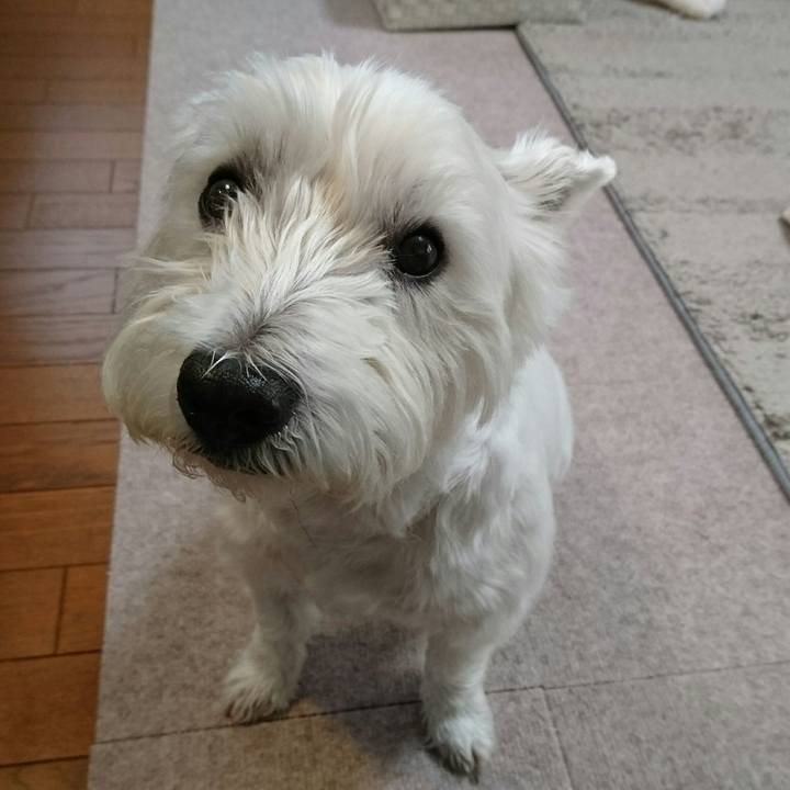 4affe84c db84 40a1 8312 af1d9bca735c