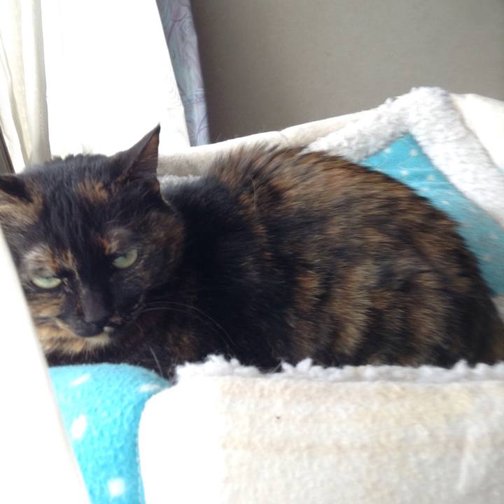 4b0000f2 4eb6 4663 8738 91f1de381956