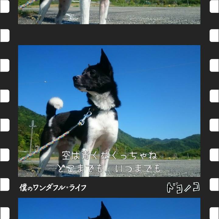 4b001d85 18ab 483a 9eae 34c3e6df99ed