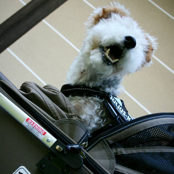 4b002720 7caa 493c 97fa 5417e271a0c7