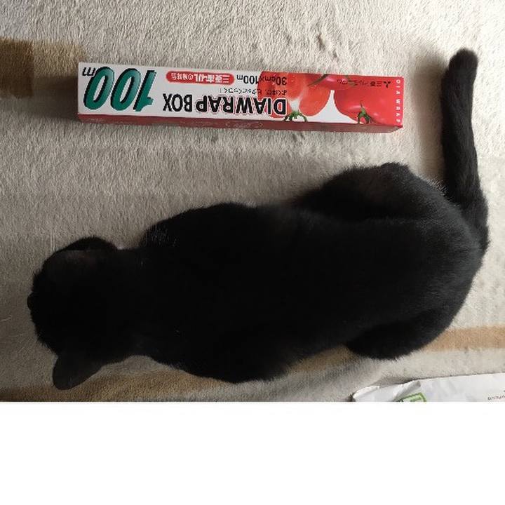 4b00e8f9 3490 4b6f 819b a68a7405313a